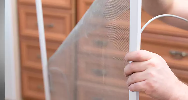 Privacy Mesh Screen Door Installation in Pittsburg, CA