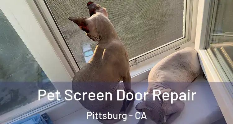  Pet Screen Door Repair Pittsburg - CA